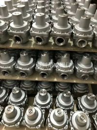 支（zhī）管式（shì）減壓閥